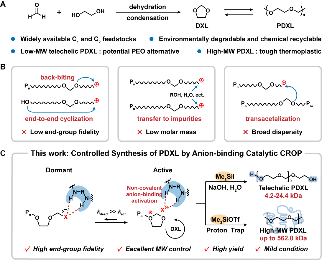 Significant Progress in Anion-Binding Catalysis for Controlled Synthesis of Poly(1,3-dioxolane)