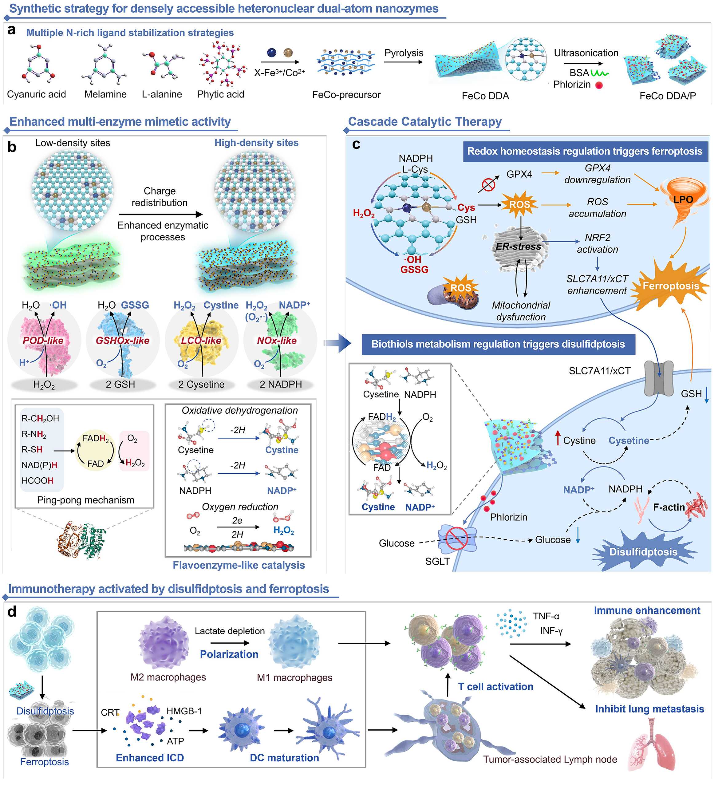 Significant Progress in High-Density Heteronuclear Dual-Atom Nanozymes for Tumor Metabolic-Immune Regulation