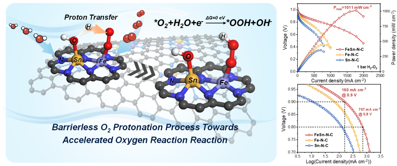 Significant Progress in Protonation Kinetics Optimization and Reaction Mechanism of Alkaline Oxygen Reduction Reaction
