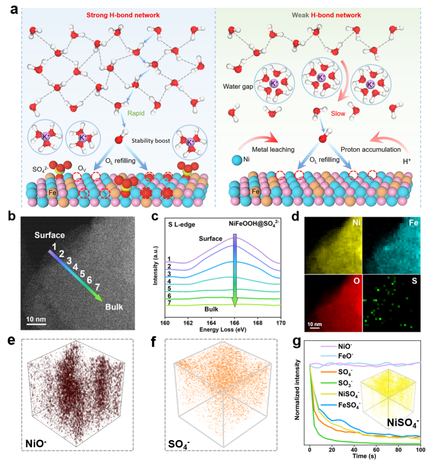 Significant Progress in Lattice Oxygen Regeneration Kinetics Optimization and Stable Catalysis for Alkaline Oxygen Evolution Reaction