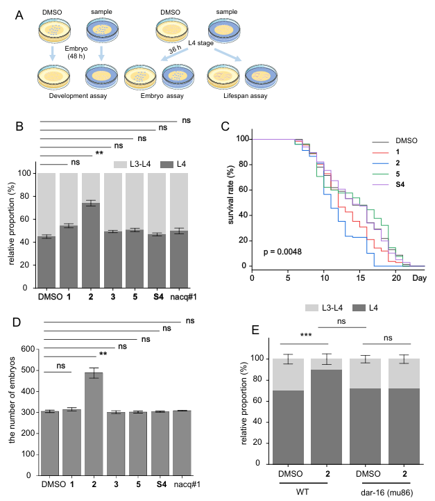 Collaborative Study Reveals Novel Function of Bacteria-Derived Cyclic Peptides in Regulating Nematode Development and Reproduction