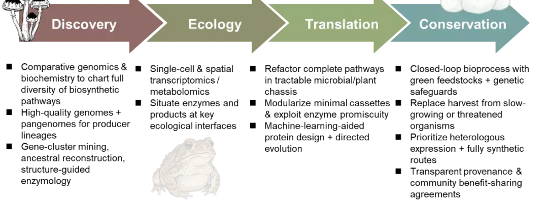 Perspective Paper on Chemical Ecology and Convergent Evolution of Natural Hallucinogens Published in PNAS